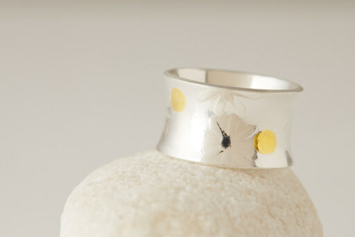 Anti clastic ring with flat disc - Image 2